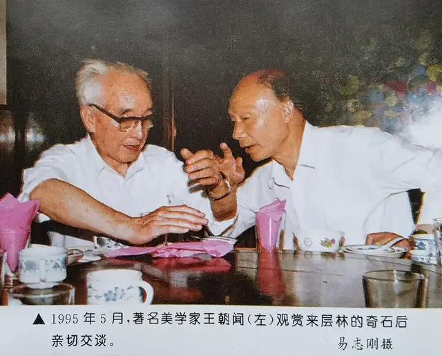 奇石價格和圖片_小雞出殼奇石價格_奇石的價格