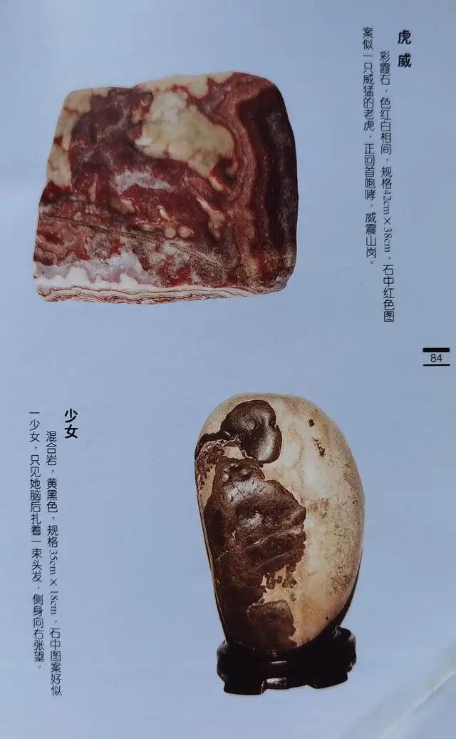奇石的價格_奇石價格和圖片_小雞出殼奇石價格