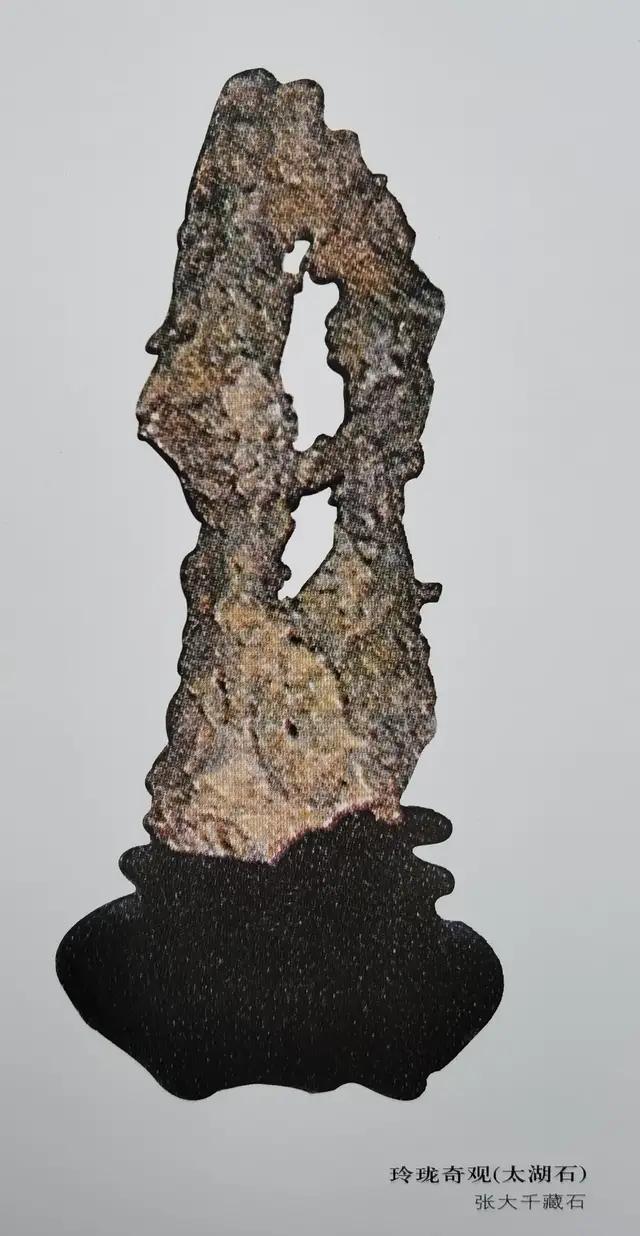 奇石的價格_奇石價格和圖片_小雞出殼奇石價格