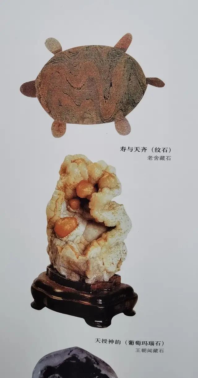 奇石價格和圖片_奇石的價格_小雞出殼奇石價格