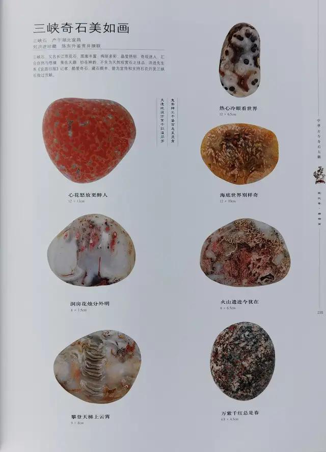 小雞出殼奇石價格_奇石價格和圖片_奇石的價格
