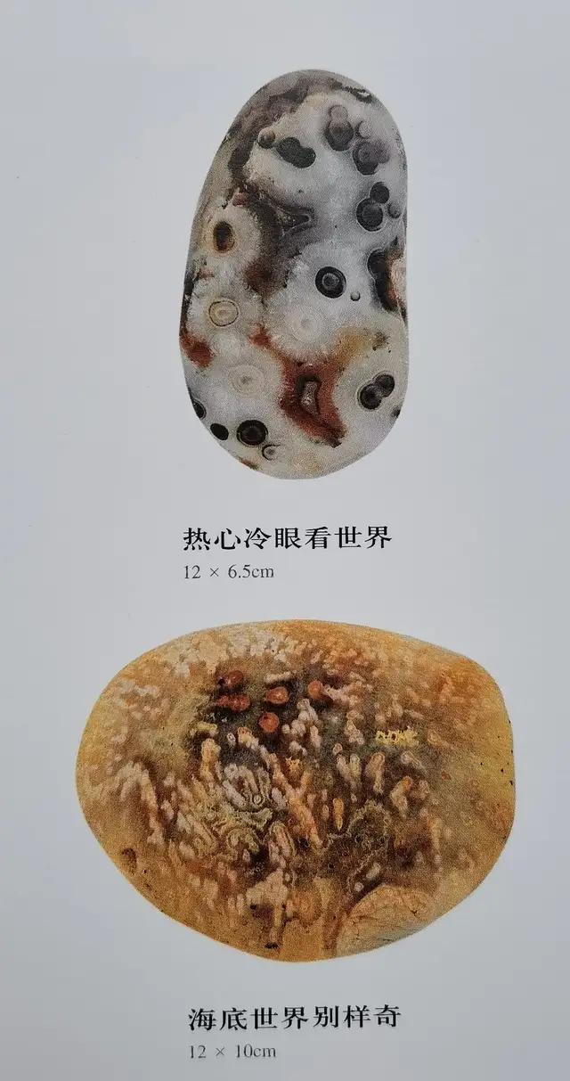 小雞出殼奇石價格_奇石的價格_奇石價格和圖片