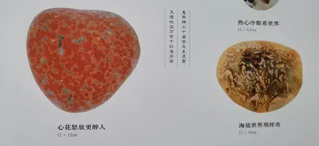 小雞出殼奇石價格_奇石價格和圖片_奇石的價格