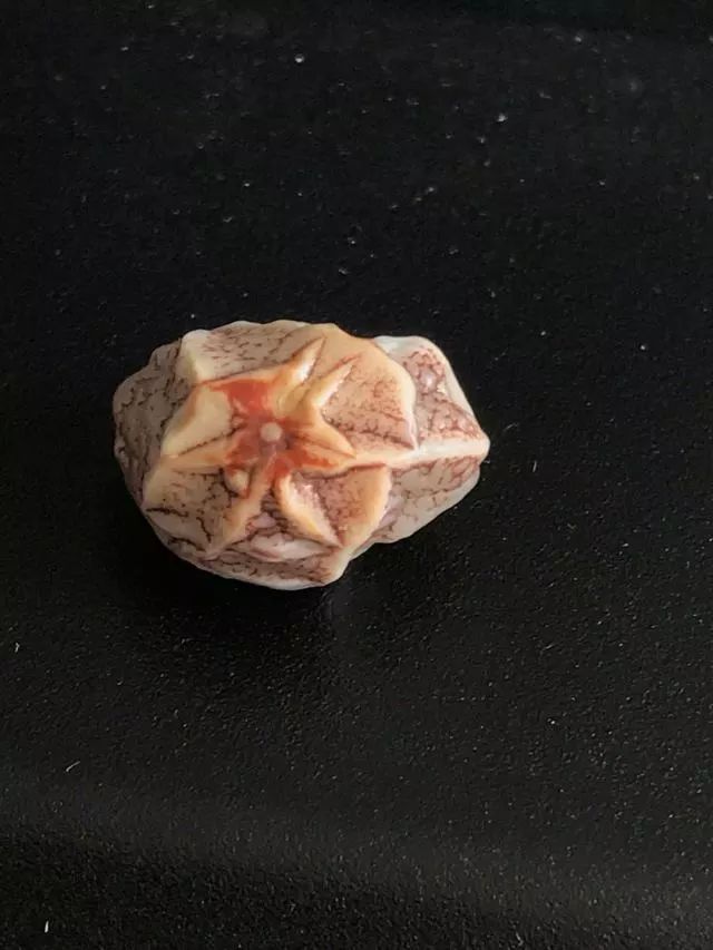 中國奇石交易市場_中國奇石交易拍賣網(wǎng)_奇石交易中心