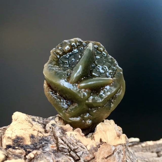 中國奇石交易拍賣網(wǎng)_中國奇石交易市場_奇石交易中心