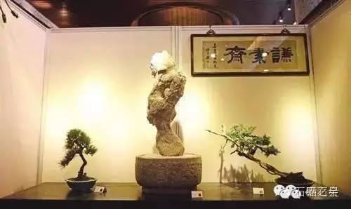天然奇石的收藏價(jià)值_天然奇石收藏_我收藏的天然奇石哪里能交易