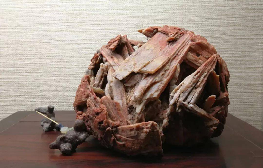 奇石真實(shí)成交價(jià)_怎樣估價(jià)奇石_怎樣評(píng)估奇石的價(jià)格