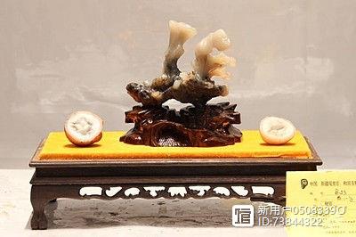 藏瓷奇石真?zhèn)伪鎰e方法_藏瓷奇石價格_藏瓷奇石交易
