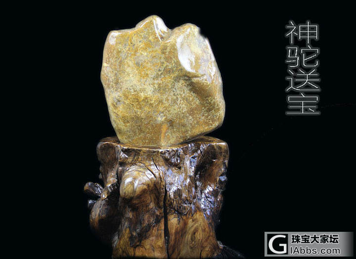 鑒定奇石方法有哪幾種_奇石的鑒定方法_如何鑒定奇石的價(jià)值