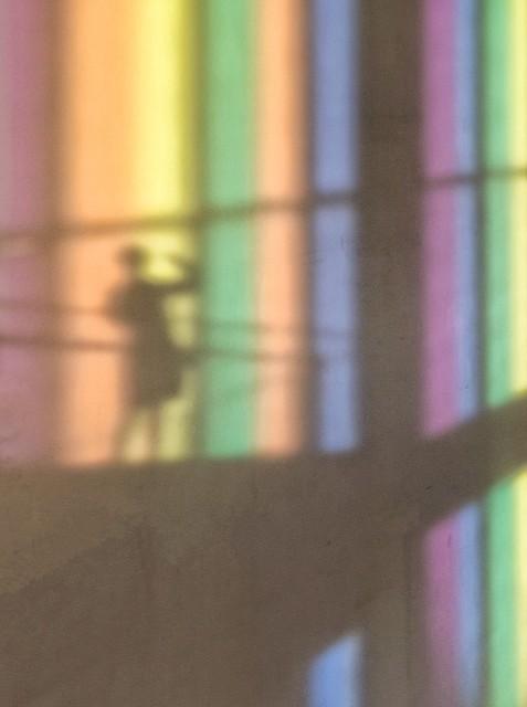 奇石頭鑒別鑒定_奇石鑒定機構_奇石鑒定會
