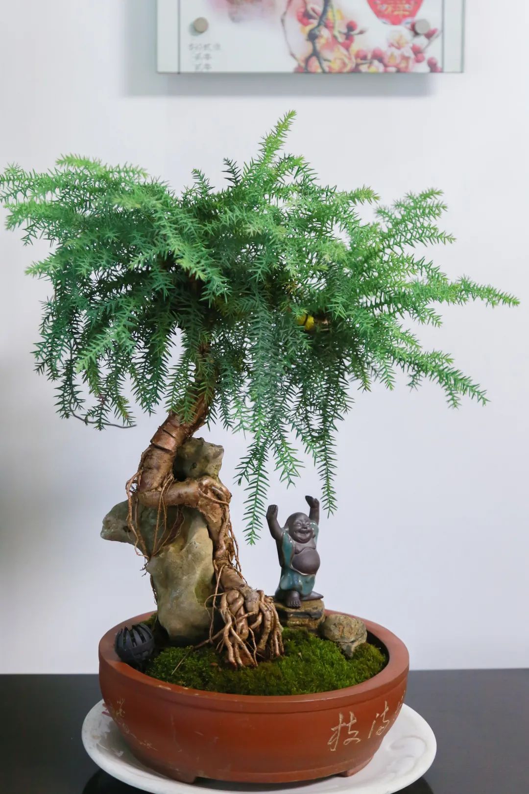天然奇石盆景圖片_天然奇石圖片大全獲獎(jiǎng)_天然奇石盆景圖片大全欣賞
