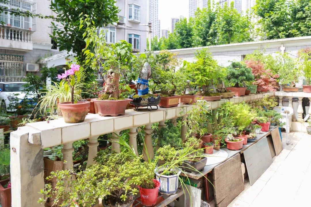 天然奇石盆景圖片_天然奇石盆景圖片大全欣賞_天然奇石圖片大全獲獎(jiǎng)