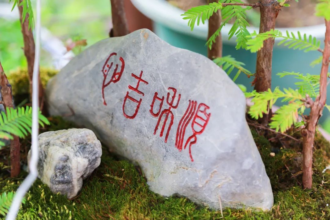 天然奇石盆景圖片_天然奇石圖片大全獲獎(jiǎng)_天然奇石盆景圖片大全欣賞