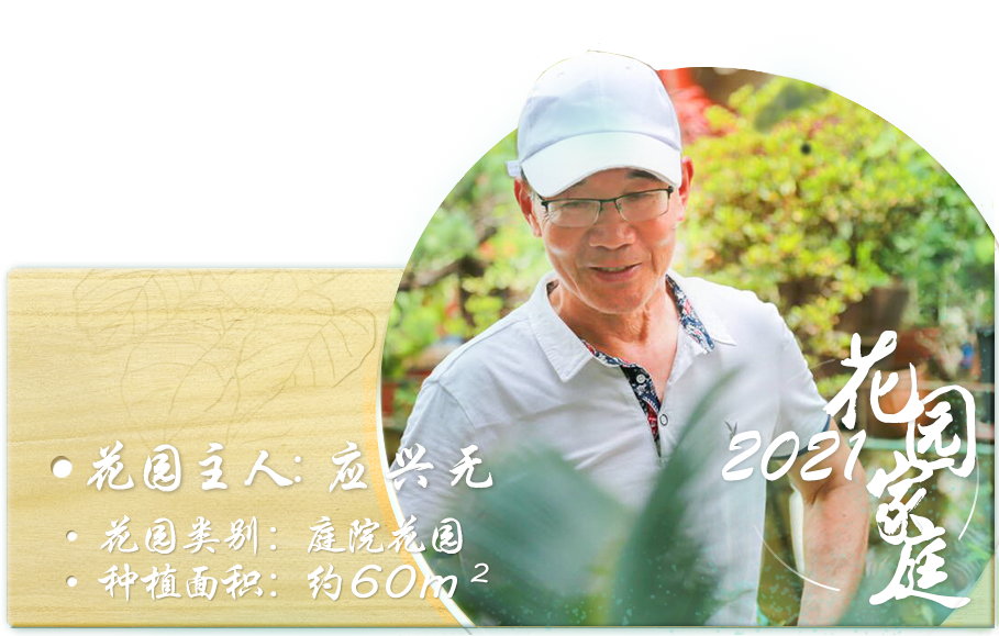 天然奇石盆景圖片大全欣賞_天然奇石盆景圖片_天然奇石圖片大全獲獎(jiǎng)