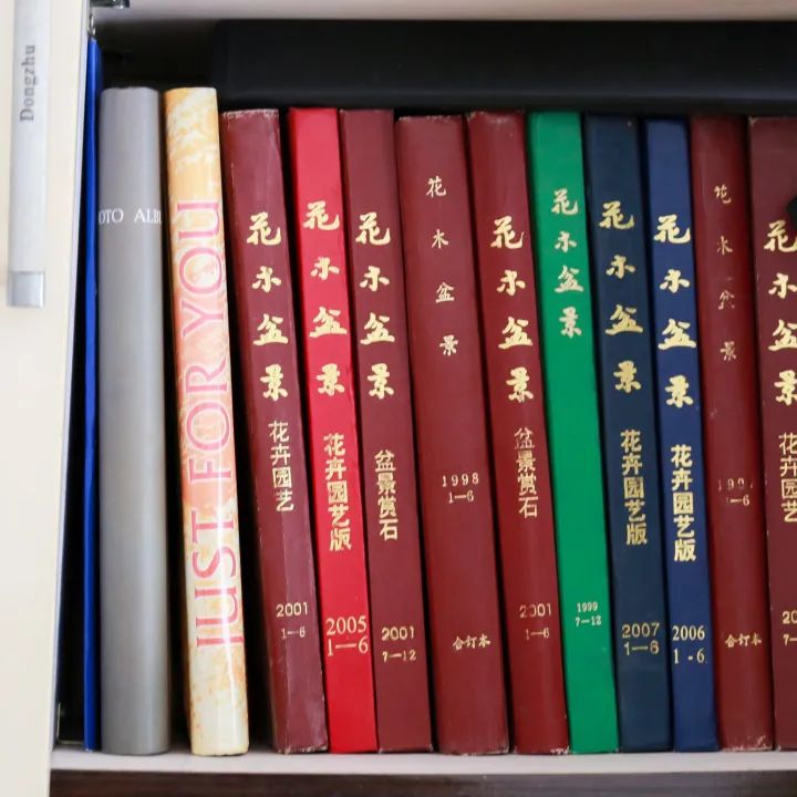 天然奇石圖片大全獲獎(jiǎng)_天然奇石盆景圖片_天然奇石盆景圖片大全欣賞