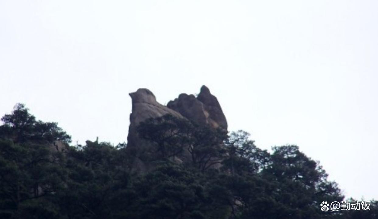 黃山奇石的石頭長什么樣_黃山石頭奇石有哪些_黃山奇石有什么石頭