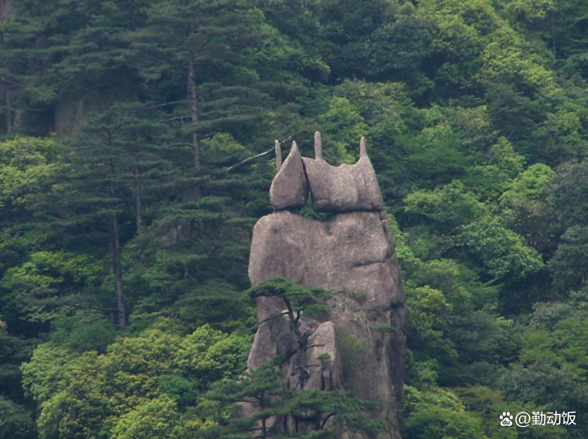 黃山石頭奇石有哪些_黃山奇石有什么石頭_黃山奇石的石頭長什么樣