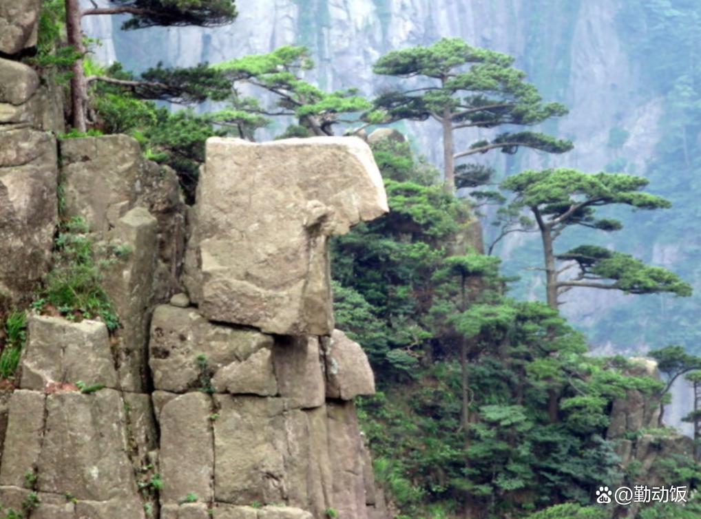 黃山石頭奇石有哪些_黃山奇石的石頭長什么樣_黃山奇石有什么石頭