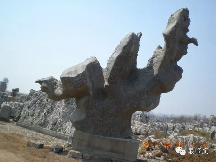 濰坊奇石市場_濰坊奇石市場地址_濰坊奇石市場和奇石城的區別