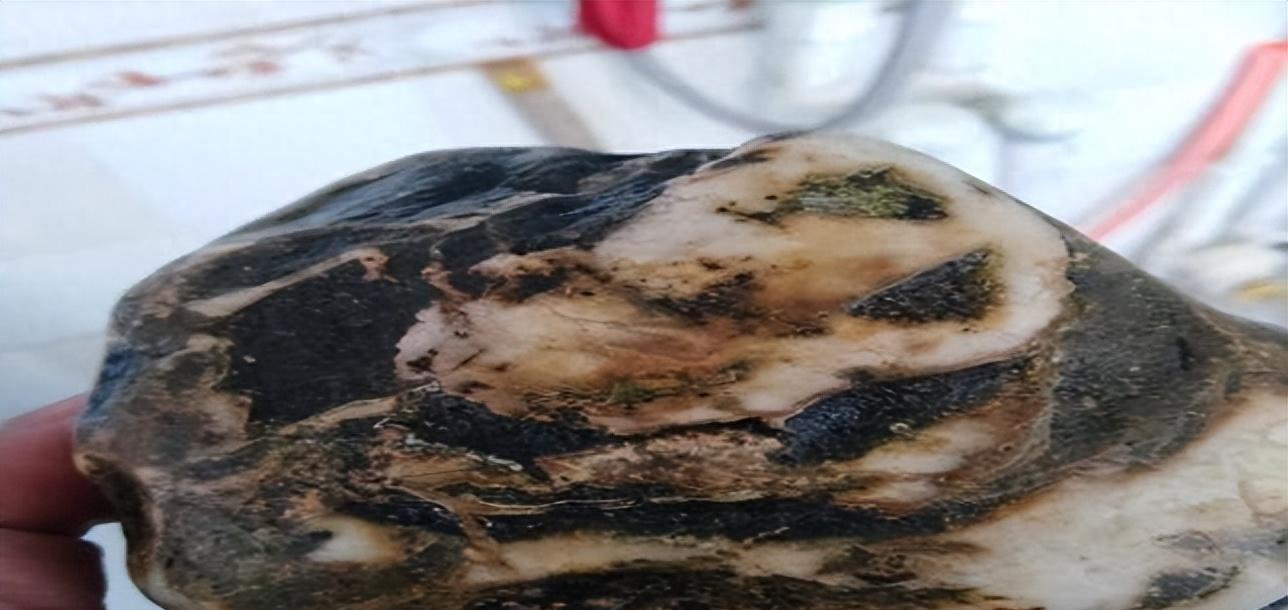 觀賞石協會網_青島觀賞石協會_觀賞協會石青島分會會長