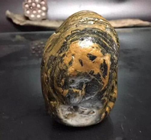 青島觀賞石協會_觀賞石協會網_觀賞協會石青島分會會長